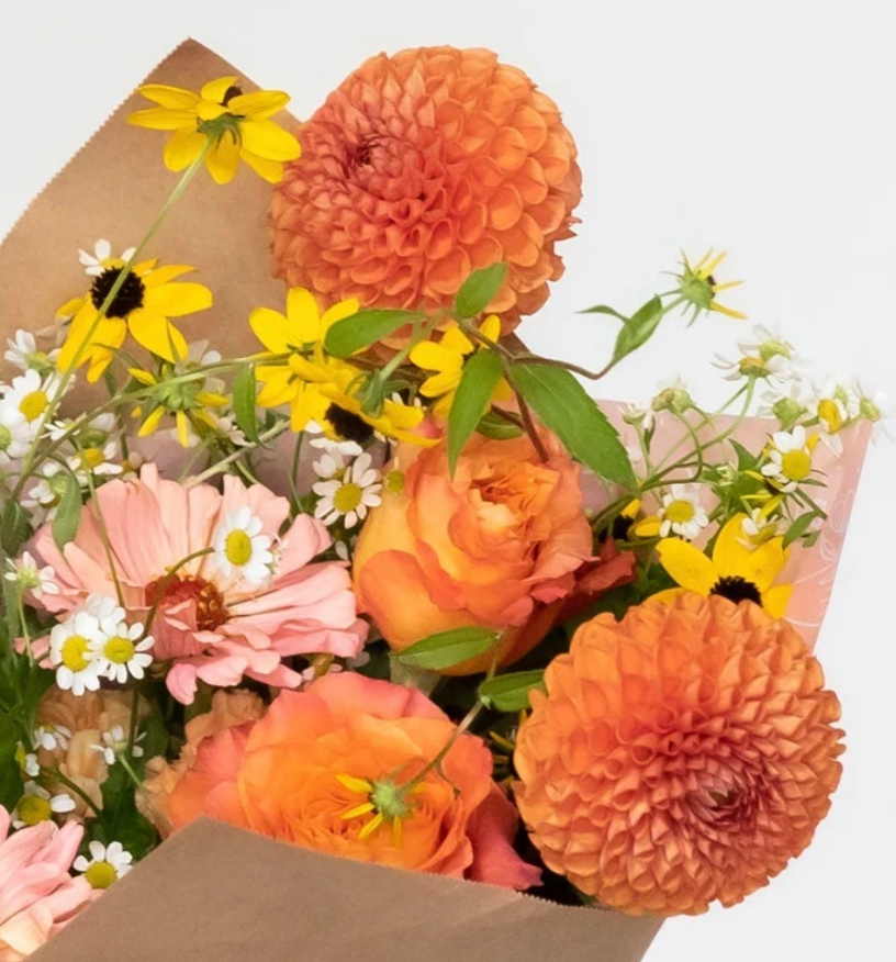 Cornel Bronze Dahlia Tuber